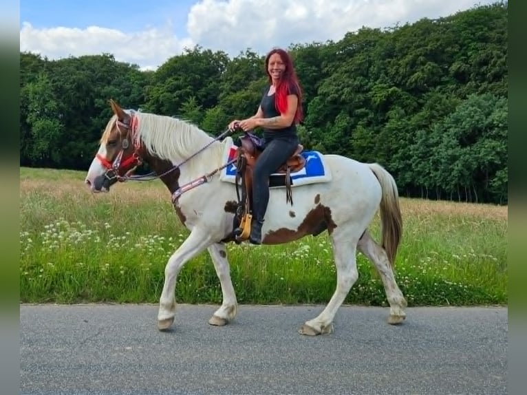 Pintos Caballo castrado 3 años 160 cm Pío in Linkenbach