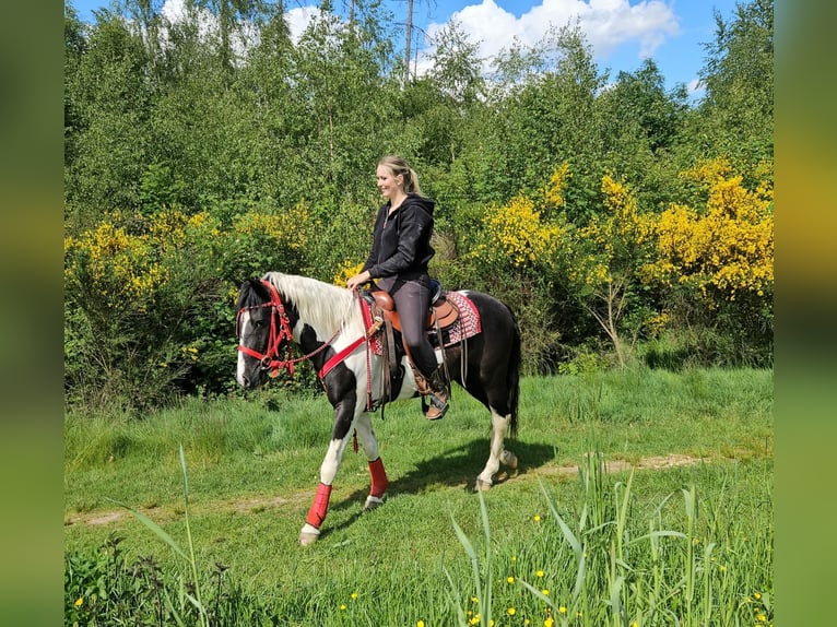 Pintos Caballo castrado 4 años 152 cm Pío in Linkenbach