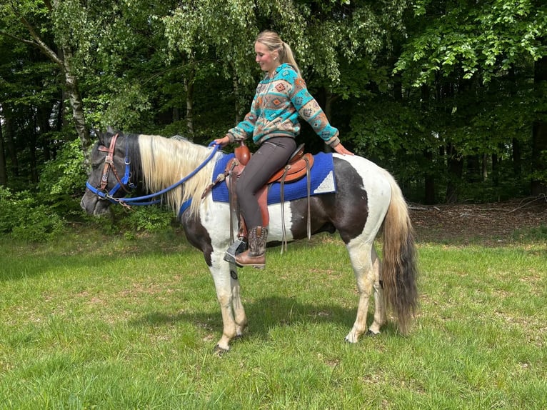 Pintos Caballo castrado 4 años 154 cm Pío in Linkenbach