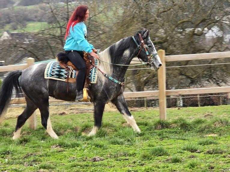 Pintos Gelding 4 years 15,1 hh Pinto in Linkenbach