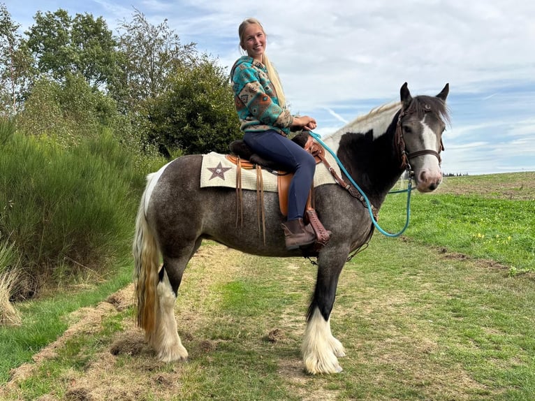 Pintos Jument 4 Ans 147 cm Pinto in Linkenbach