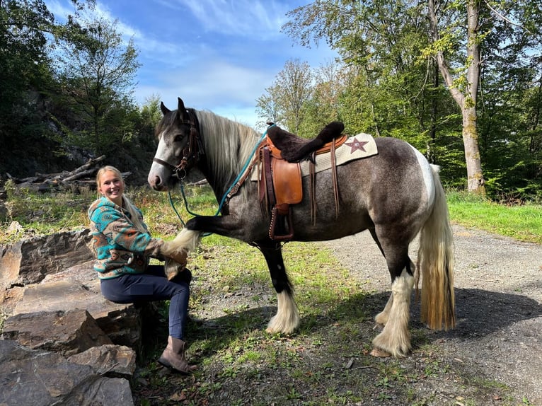 Pintos Jument 4 Ans 147 cm Pinto in Linkenbach