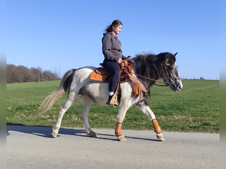 Pintos Mare 6 years 13.1 hh Pinto in Linkenbach