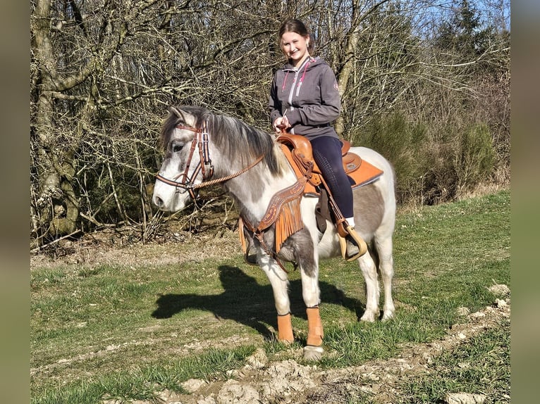 Pintos Mare 6 years 13.1 hh Pinto in Linkenbach