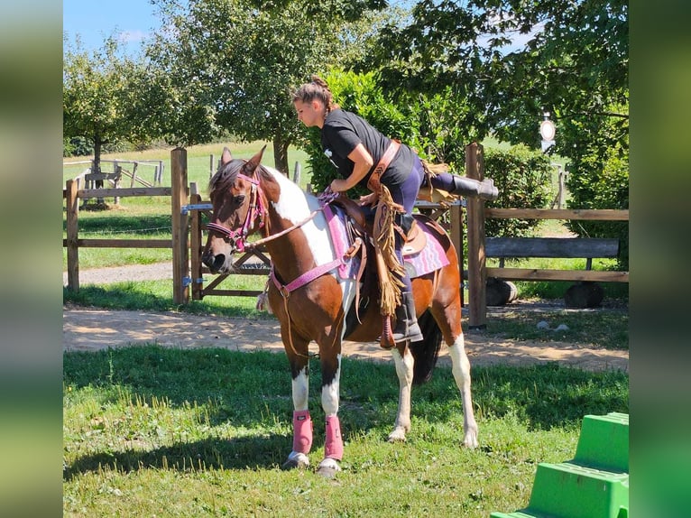 Pintos Merrie 10 Jaar 150 cm Gevlekt-paard in Linkenbach