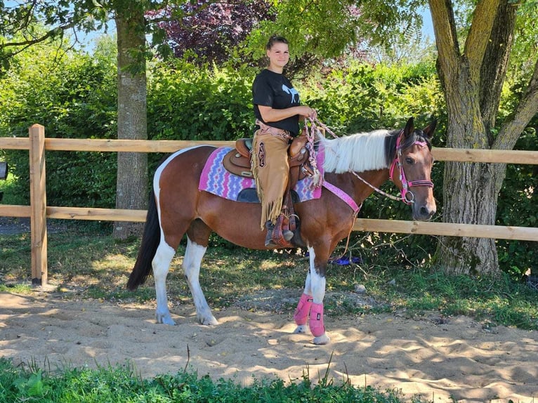 Pintos Merrie 10 Jaar 150 cm Gevlekt-paard in Linkenbach