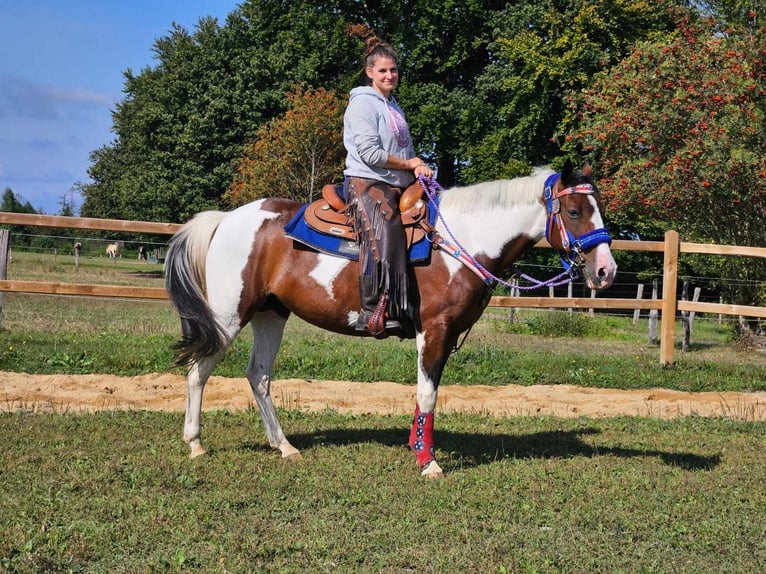 Pintos Merrie 11 Jaar 148 cm Gevlekt-paard in Linkenbach