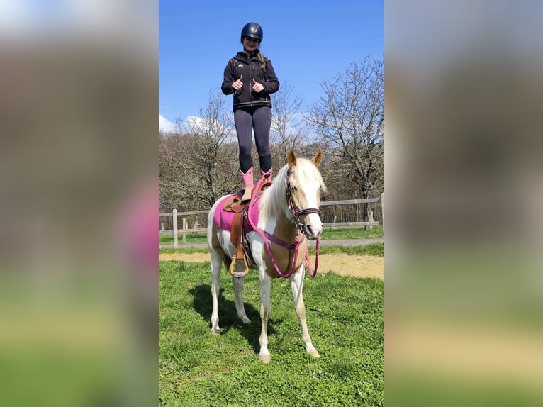 Pintos Merrie 1 Jaar 155 cm Gevlekt-paard in Linkenbach