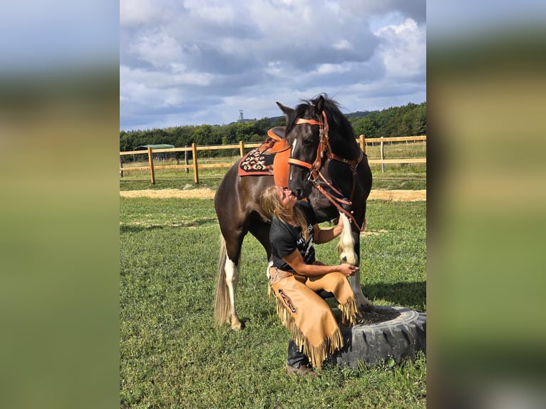 Pintos Merrie 3 Jaar 148 cm Gevlekt-paard in Linkenbach