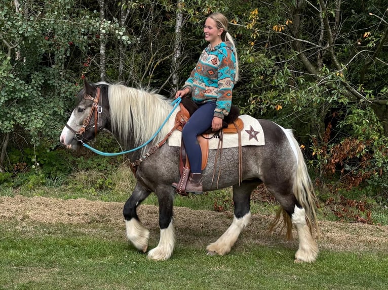 Pintos Merrie 4 Jaar 147 cm Gevlekt-paard in Linkenbach
