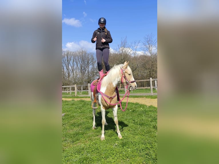 Pintos Merrie 4 Jaar 155 cm Gevlekt-paard in Linkenbach