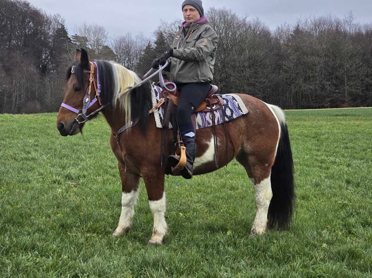 Pintos Mix Merrie 7 Jaar 142 cm Gevlekt-paard in Linkenbach