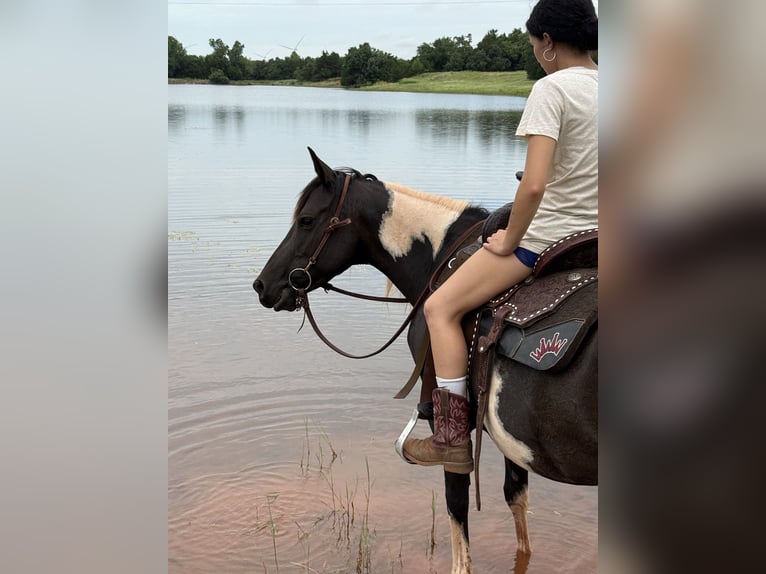 Pintos Merrie 8 Jaar 142 cm Gevlekt-paard in Guthrie