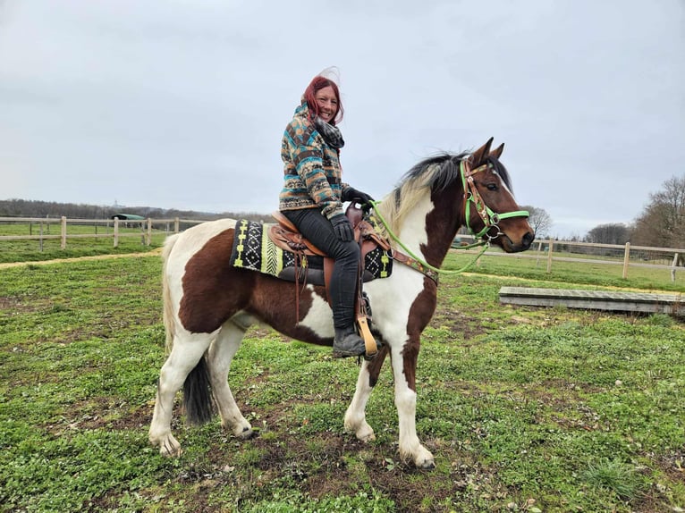 Pintos Ruin 3 Jaar 143 cm Gevlekt-paard in Linkenbach
