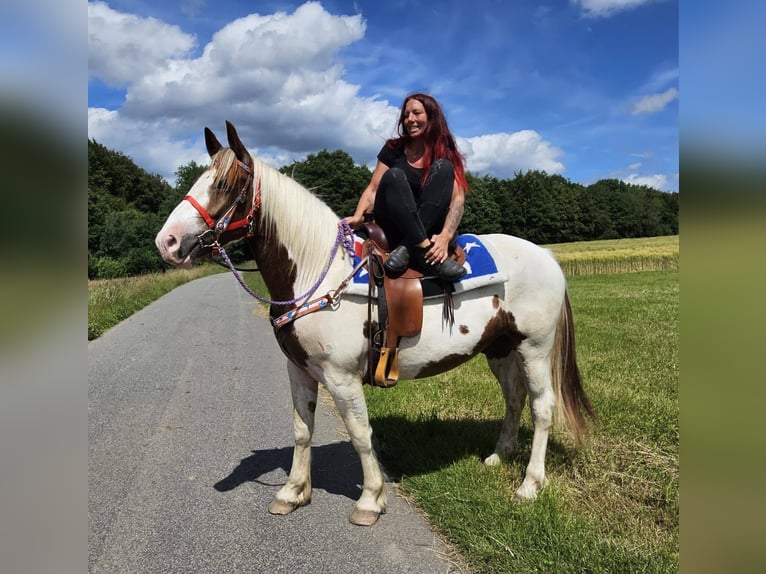 Pintos Ruin 3 Jaar 160 cm Gevlekt-paard in Linkenbach