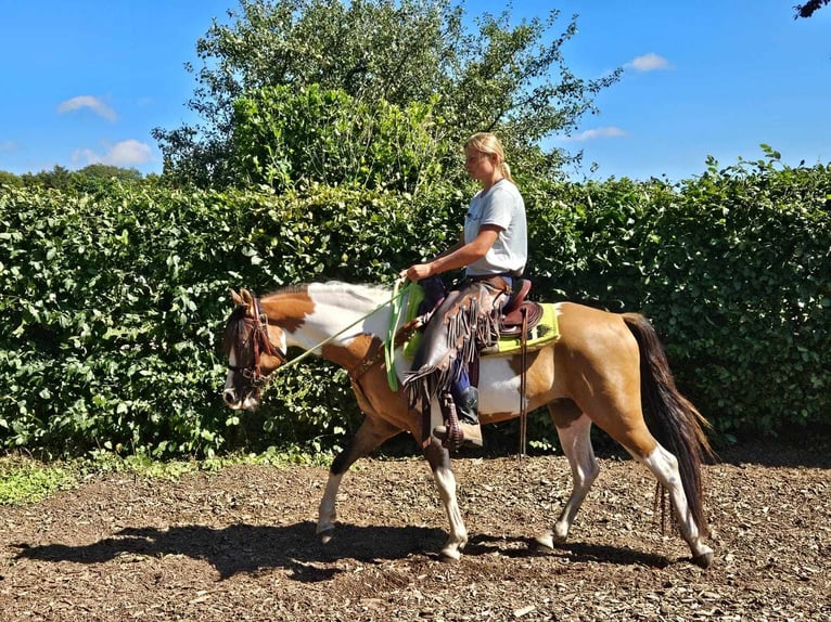 Pintos Ruin 4 Jaar 146 cm Gevlekt-paard in Linkenbach