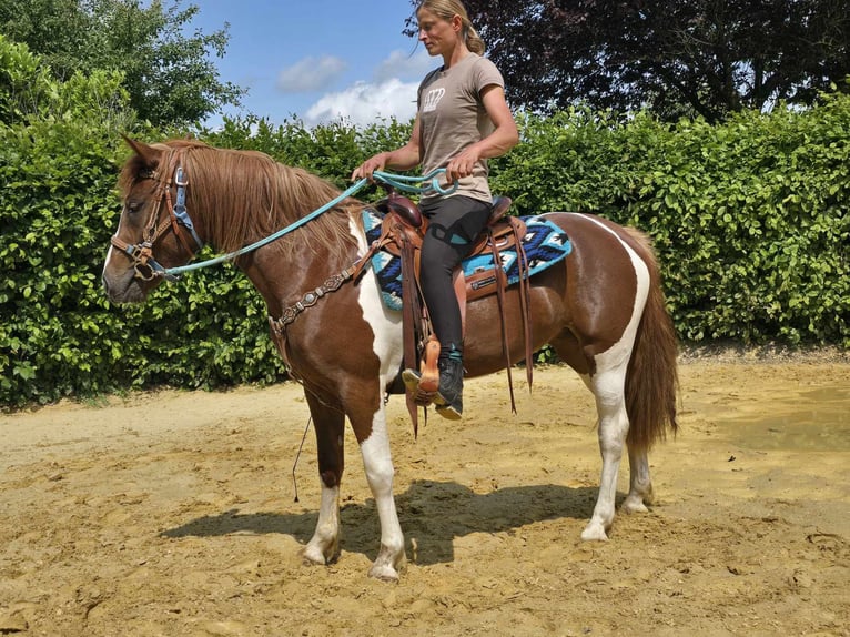 Pintos Yegua 3 años 145 cm Pío in Linkenbach