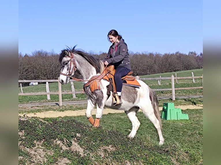 Pintos Yegua 6 años 136 cm Pío in Linkenbach