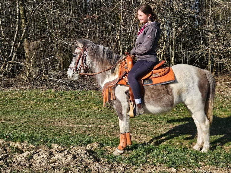 Pintos Yegua 6 años 136 cm Pío in Linkenbach