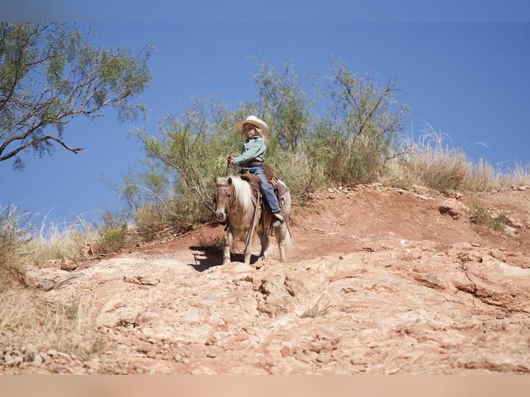 Plus de poneys/petits chevaux Hongre 7 Ans 97 cm Rouan Rouge in Canyon