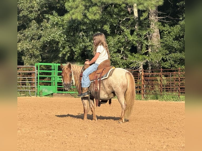 Plus de poneys/petits chevaux Jument 5 Ans 94 cm Rouan Rouge in Brierfield