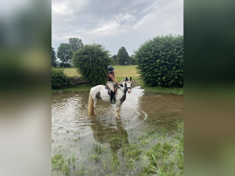 Plus de poneys/petits chevaux Croisé Jument 6 Ans 140 cm Pinto in ZülpichZülpich-Enzen