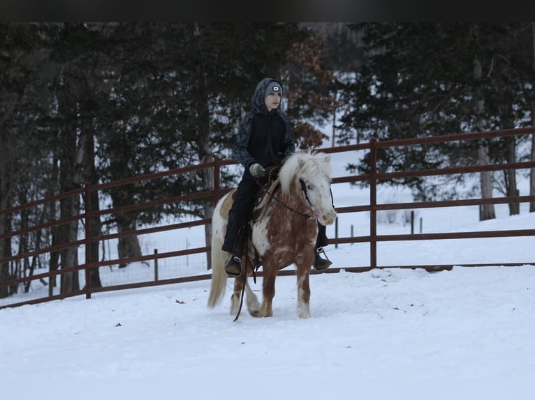 Plus de poneys/petits chevaux Hongre 15 Ans 130 cm  in Wallingford