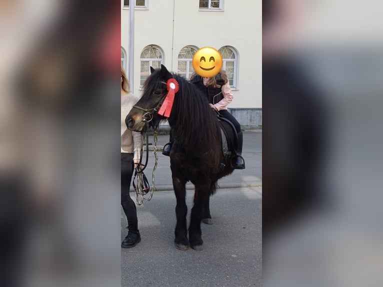 Plus de poneys/petits chevaux Croisé Hongre 16 Ans 125 cm Noir in Weigenheim