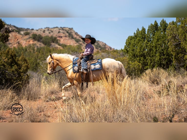 Plus de poneys/petits chevaux Hongre 5 Ans 124 cm Palomino in Canyon