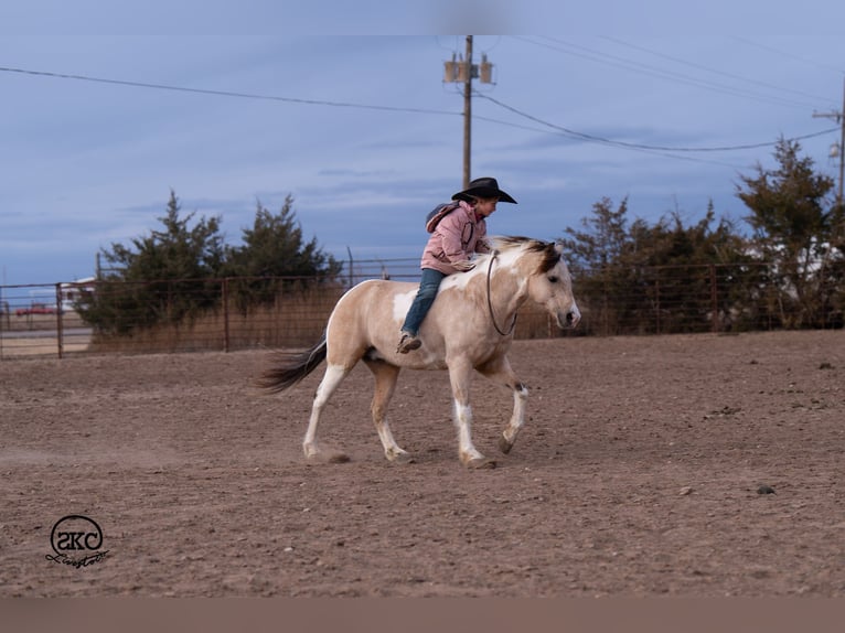 Plus de poneys/petits chevaux Hongre 5 Ans 130 cm Pinto in Canyon