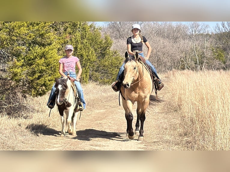 Plus de poneys/petits chevaux Hongre 6 Ans 122 cm Pinto in Cleburne