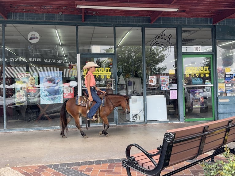 Plus de poneys/petits chevaux Hongre 8 Ans 97 cm Bai cerise in Cleburne
