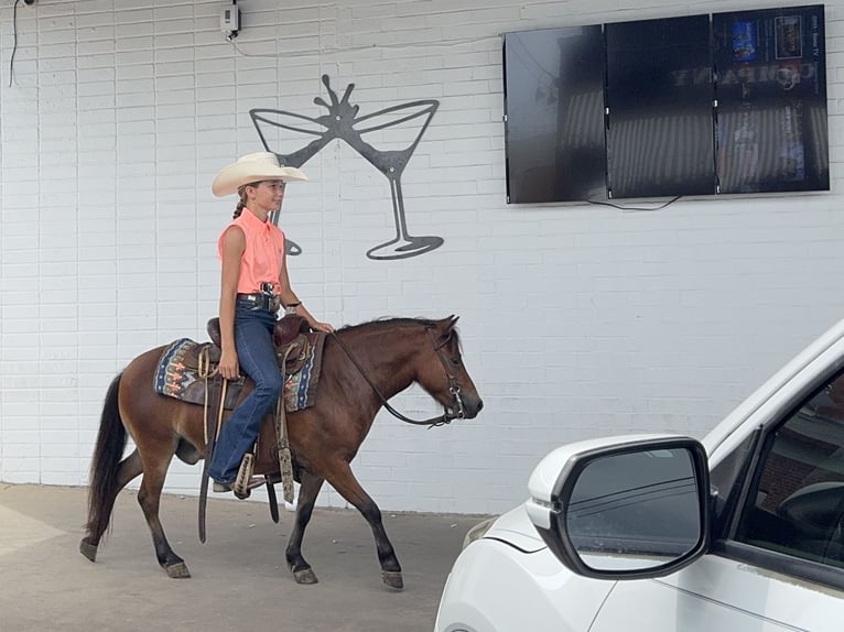 Plus de poneys/petits chevaux Hongre 8 Ans 97 cm Bai cerise in Cleburne