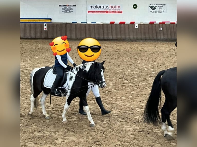 Poney de selle allemand Hongre 12 Ans 134 cm Pinto in Herborn
