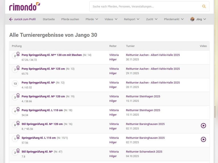 Poney de selle allemand Hongre 13 Ans 149 cm Alezan in Braunschweig
