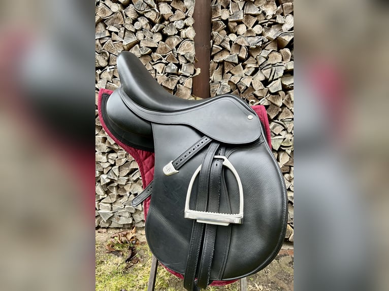 Poney de selle allemand Hongre 6 Ans 138 cm Noir in Roggentin