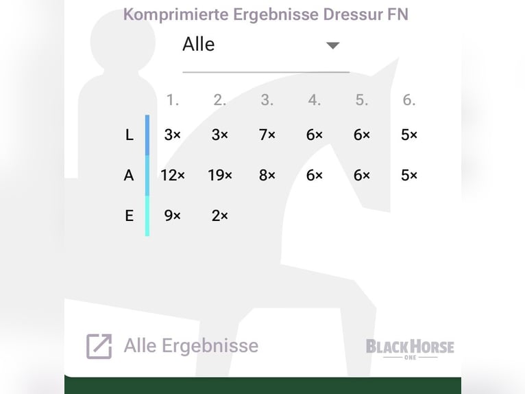 Poney de selle allemand Jument 10 Ans 148 cm Alezan brûlé in M&#xFC;lheim an der Ruhr