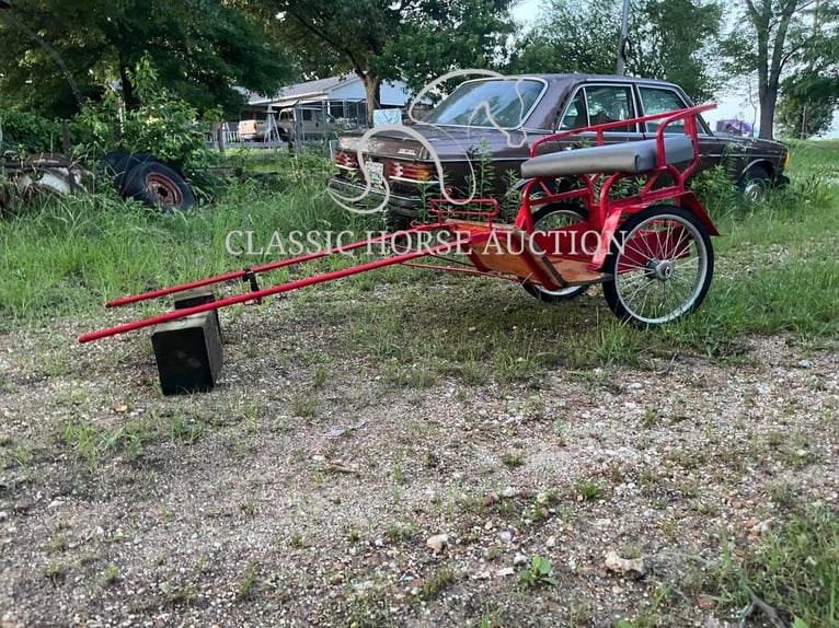 Poney des Amériques Étalon 8 Ans 91 cm Palomino in Alamo, TN