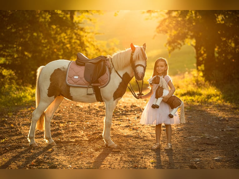 Poney des Amériques Jument 8 Ans 122 cm Pinto in Uherské Hradiště