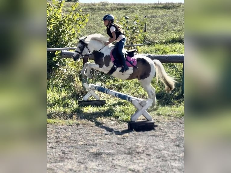 Poney des Amériques Jument 8 Ans 122 cm Pinto in Uherské Hradiště