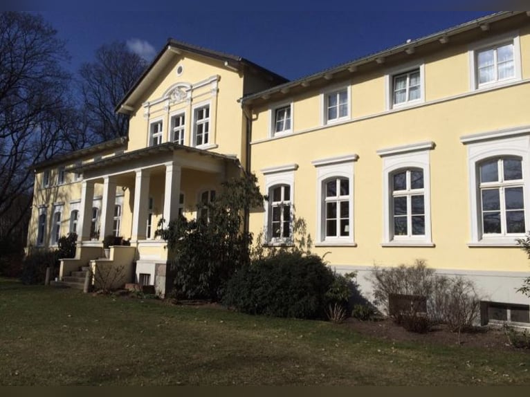 Poni alemán Yegua 13 años 145 cm Castaño in KrackowKrackow