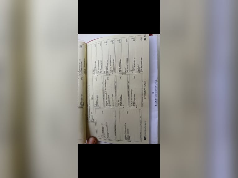 Poni alemán Yegua 3 años 144 cm Negro in Berg bei Neumarkt in der Oberpfalz