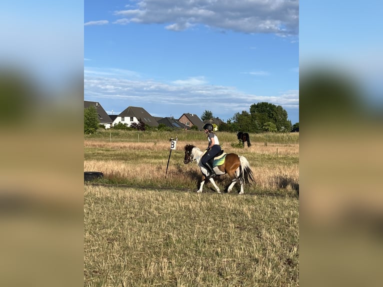 Poni clásico Mestizo Caballo castrado 9 años 114 cm Pío in Karlshagen