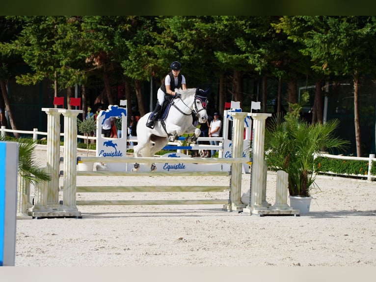 Poni clásico Yegua 11 años 147 cm White/Blanco in Favara