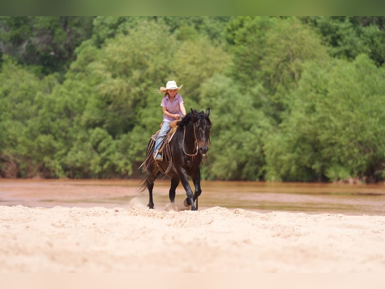 Poni cuarto de milla Caballo castrado 11 años 132 cm Castaño rojizo in Canyon