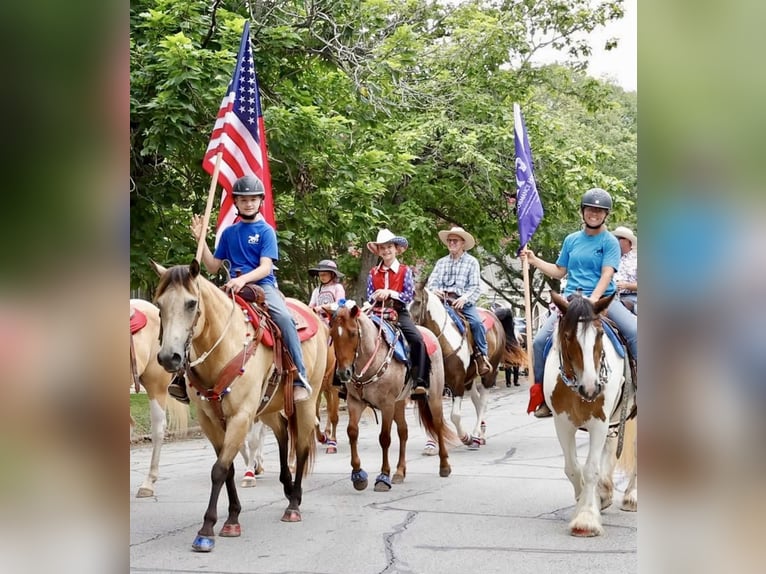 Poni cuarto de milla Caballo castrado 11 años 135 cm Ruano alazán in Weatherford