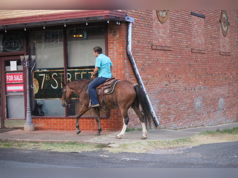 Poni cuarto de milla Caballo castrado 13 años Castaño-ruano in RUSK, TX