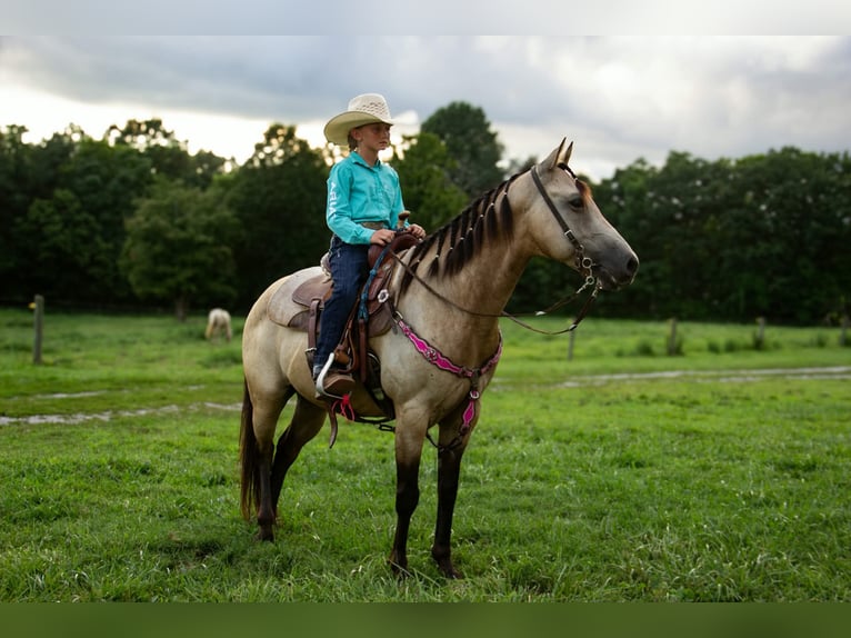Poni cuarto de milla Caballo castrado 5 años 132 cm Buckskin/Bayo in Pulaski