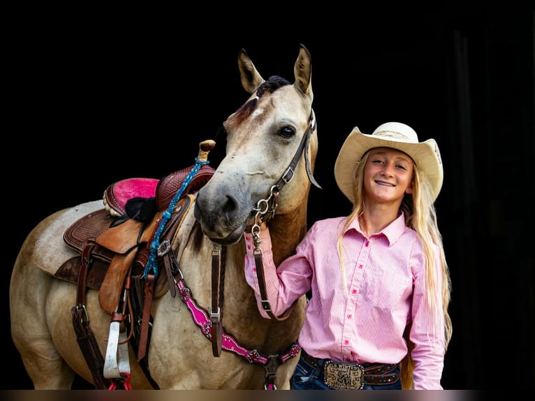 Poni cuarto de milla Caballo castrado 5 años 132 cm Buckskin/Bayo in Pulaski
