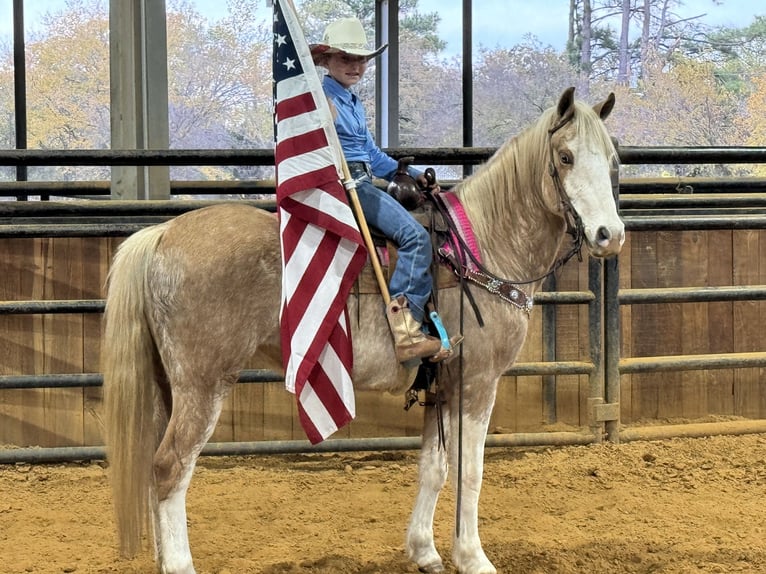 Poni cuarto de milla Caballo castrado 6 años 137 cm Palomino in Weatherford